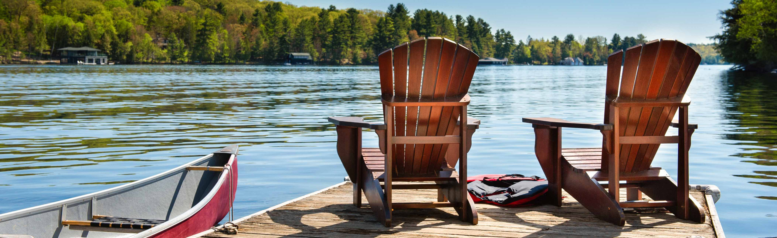 Lake Harding Area - Go Pro Wildlife Removal